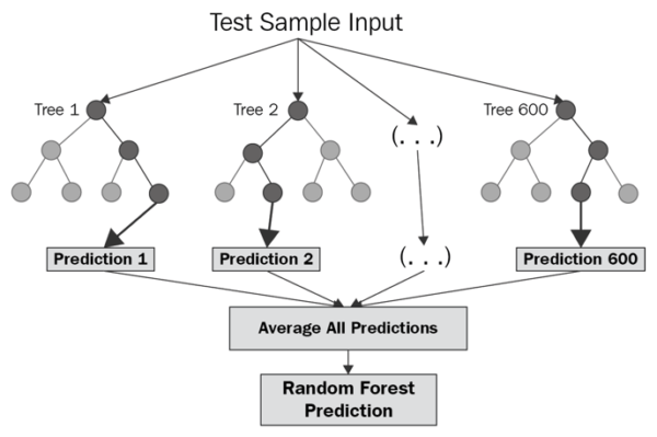 random forest prediction